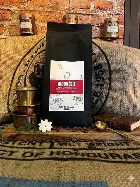 Café Indonésie Sumatra Bio Équitable 100% Pur Arabica 1kg – Bo'caffé Montargis Loiret

