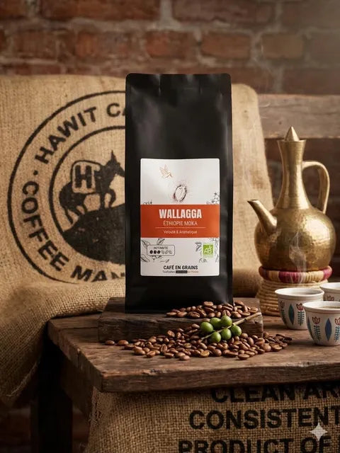 Café Éthiopie Wallaga Bio Équitable 100% Pur Arabica – Bo'caffé Montargis Loiret
